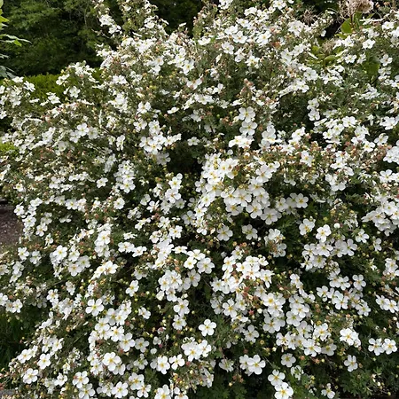 Stoneywood Haven, Galway Clarinbridge