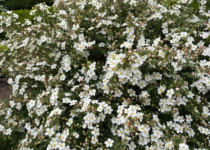 Stoneywood Haven, Galway Clarinbridge